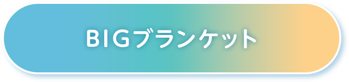 BIGブランケット