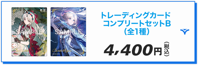 トレーディングカード コンプリートセットB（全1種）