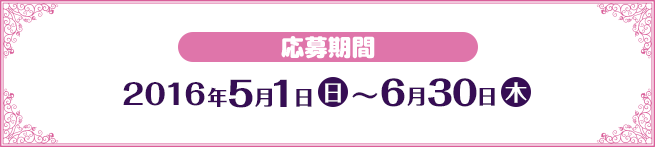 応募期間 2016年5月1日(日)〜6月30日(木)