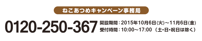 ねこあつめキャンペーン事務局 0120-250-367 開設期間 ： 2015年10月6日(火)〜11月6日(金)受付時間 ： 10:00〜17:00 （土・日・祝日は除く）