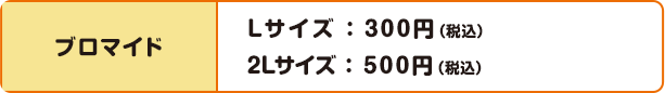 ブロマイド Lサイズ ： 300円（税込）2Lサイズ ： 500円（税込）