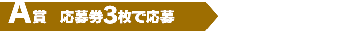 A賞（応募券3枚で応募）200組 400名様