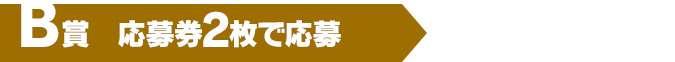 B賞（応募券1枚で応募）100名様