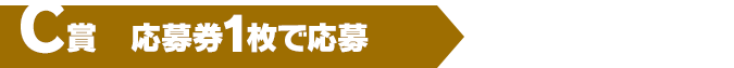 C賞（応募券1枚で応募）500名様