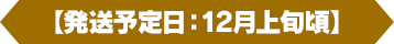 [発送予定日]12月上旬頃