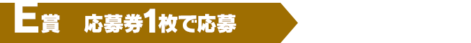 E賞（応募券1枚で応募）100名様