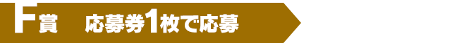 F賞（応募券1枚で応募）200名様