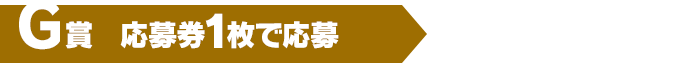 F賞（応募券1枚で応募）200名様