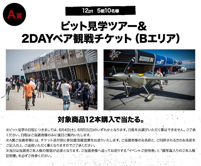 A賞 12pt 5組10名様 ピット見学ツアー&2DAYペア観戦チケット（Bエリア）