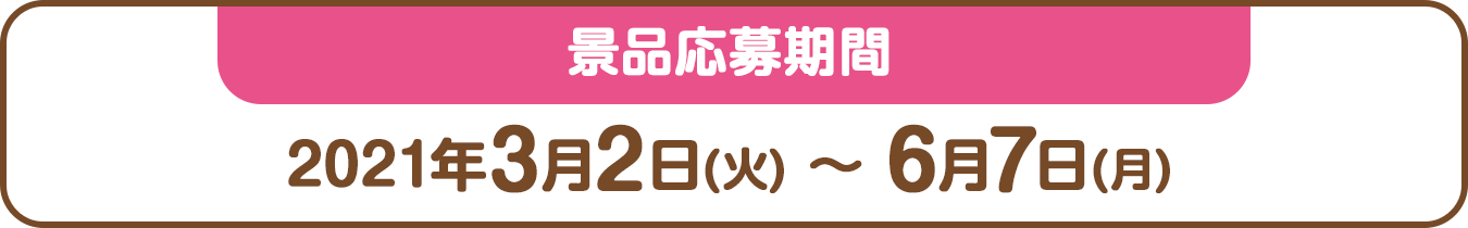 応募期間：2020年3月3日(火) ～ 2020年6月8日(月)