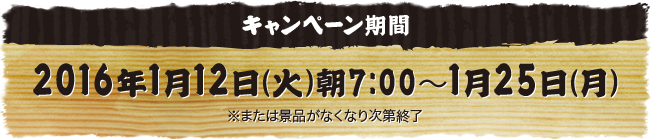 2016年1月12日(火)朝7:00〜1月25日(月) ※または景品がなくなり次第終了