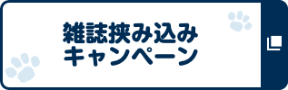 雑誌挟み込み キャンペーン