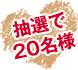 抽選で20名様