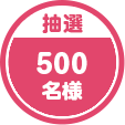 抽選 500名様