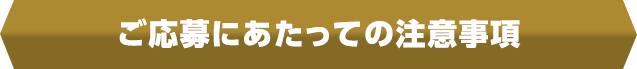 ご応募にあたっての注意事項