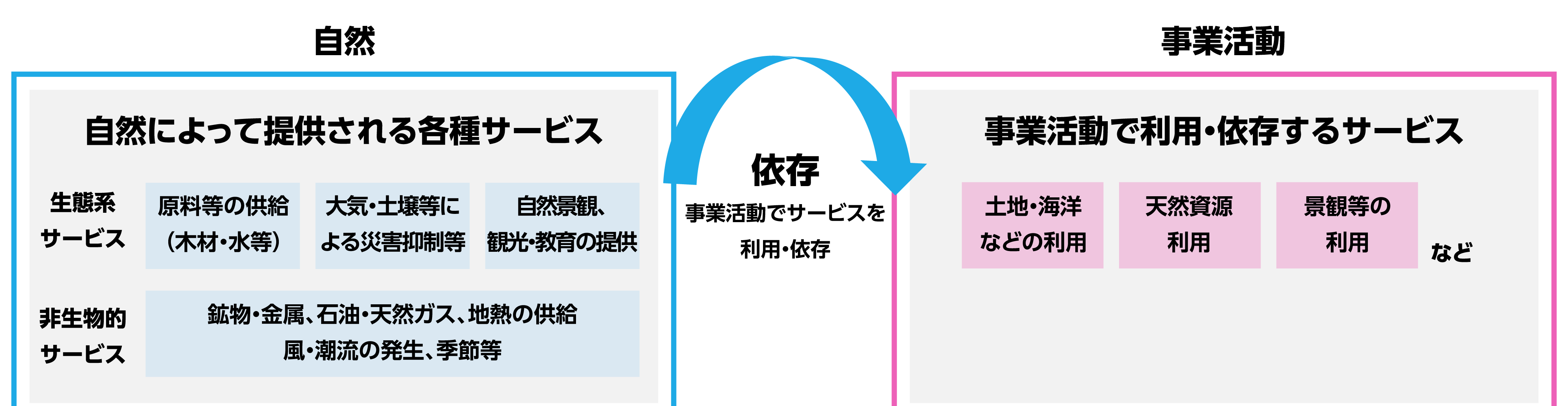 自然と事業活動の関係性をまとめた図です。自然は、事業活動においてそのサービスを利用・依存され、事業活動は、自然資本に影響を与える関係にあります。自然によって提供される各種サービスには生態系サービス・非生物的サービスがありますが、これらは事業活動において利用されています。