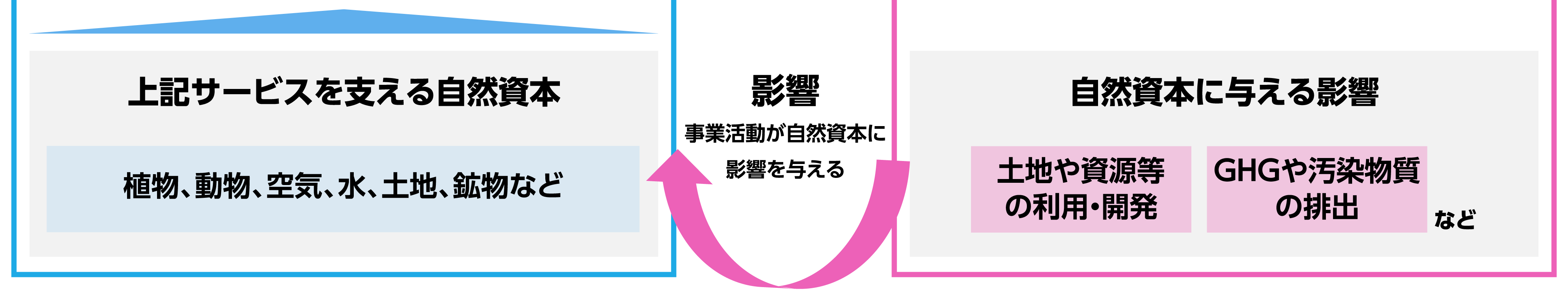 また植物、動物、空気、水、土地、鉱物等の自然資本は、事業活動における土地や資源等の利用・開発、GHGや汚染物質の排出等の影響を受けています。