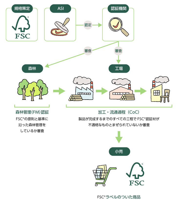 FSC森林認証の仕組みをまとめた図です。FSC森林認証は、ASIが認証機関を認定し、認証された期間が審査を行います。認証機関は、森林をFSCの原則と基準に沿った管理が行われているかについて審査を行います。また認証機関は、工場を製品が完成するまでの工程でFSC認証材が不適格なものとまぜられてないかを審査します。工場は、小売に対しFSCラベルのついた商品を出荷します。
