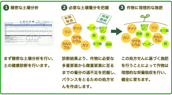 1.精密な土壌分析 2.必要な土壌養分を把握 3.作物に理想的な施肥