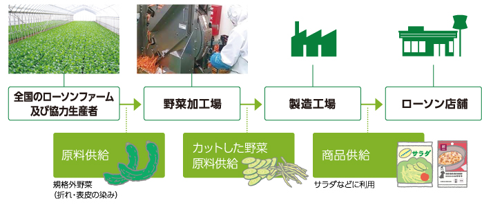 規格外野菜の活用についての流れ