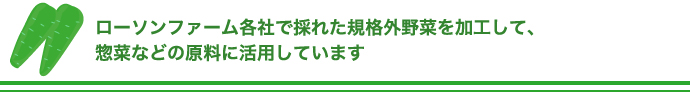 ローソンファーム各社で採れた規格外野菜を加工して、惣菜などの原料に活用しています