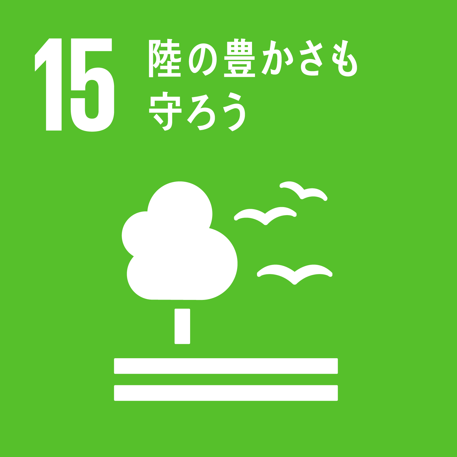 15.隆の豊かさも守ろう
