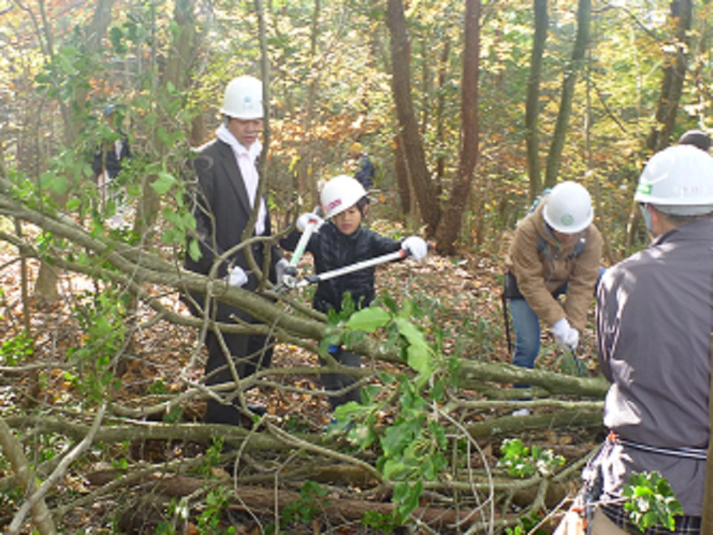 猿投山北西山麓斜面の環境林整備