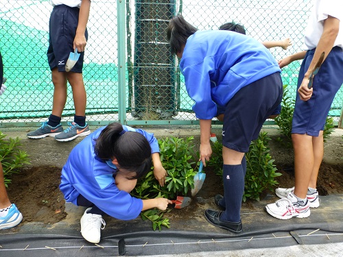 神奈川県横浜市立汲沢中学校