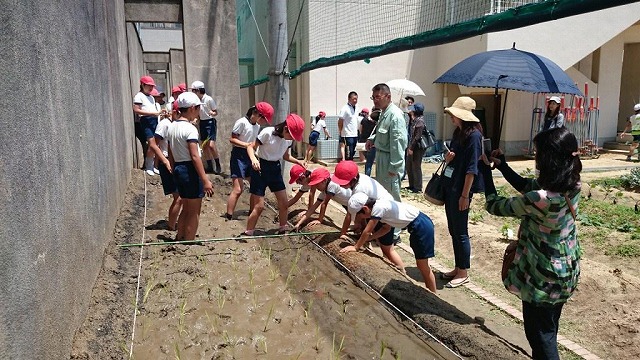 大阪市立天王寺小学校