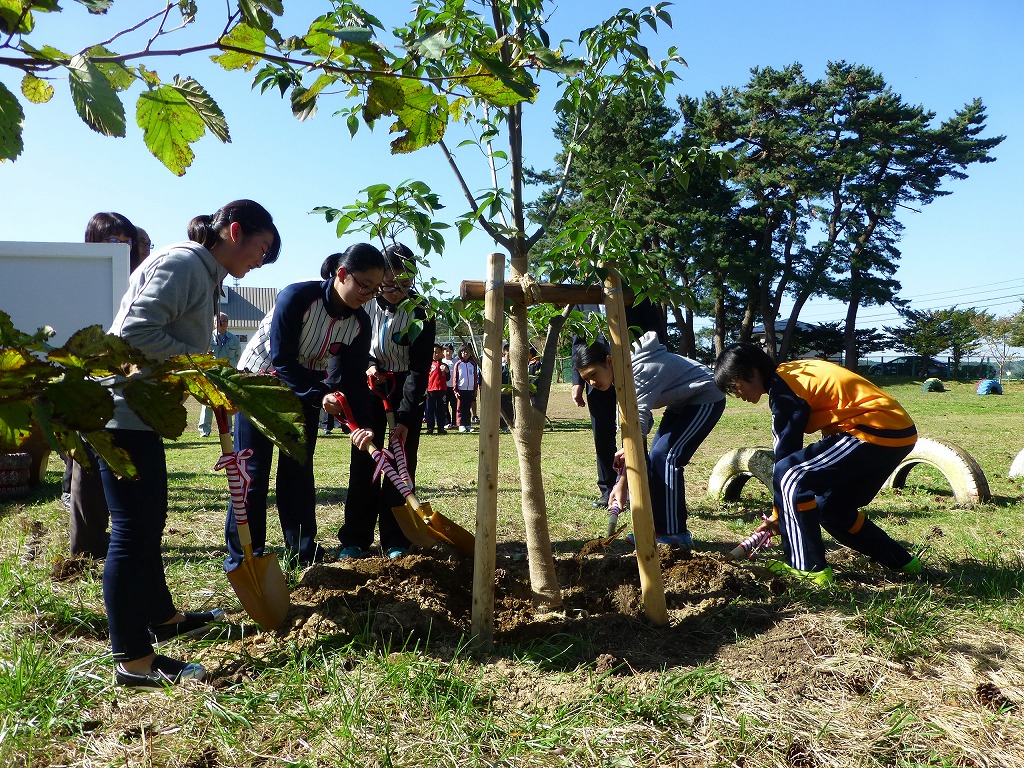 青森県八戸市立種差小学校