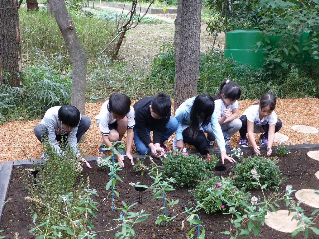 東京都中野区立中野本郷小学校