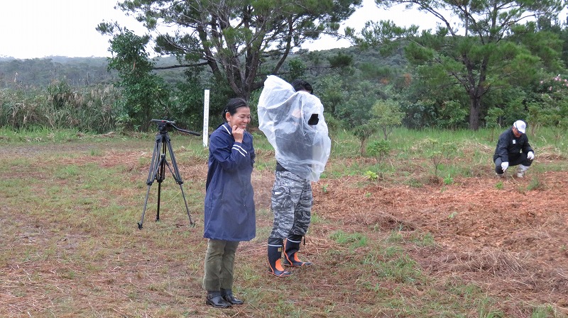 沖縄県国頭郡国頭村「やんばるやんわり」プロジュエクト