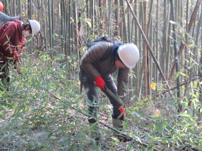 熊本県南関町「里山保全振興活動の事業」