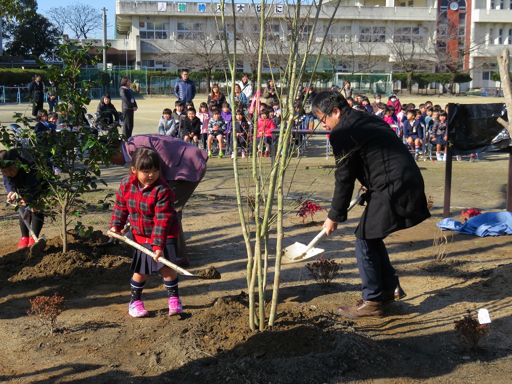 熊本県八代市立高田小学校