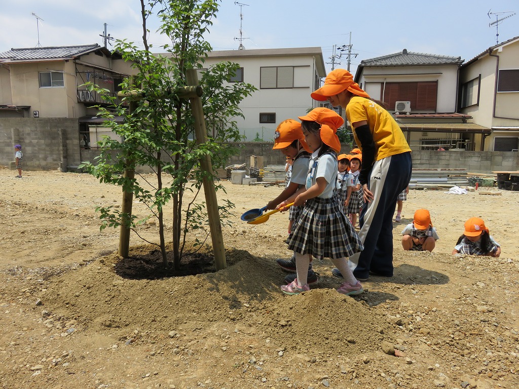 京都府宇治市　心華学園みのり幼稚園