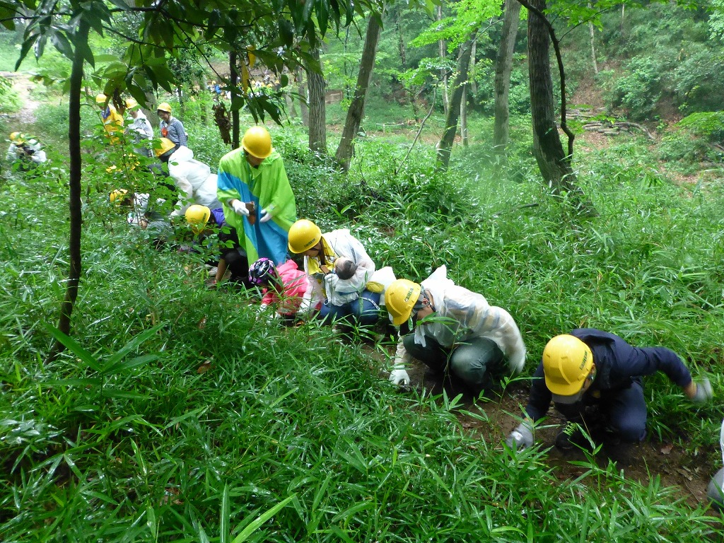 東京都日野市 多摩動物公園「雑木林再生プロジェクト」