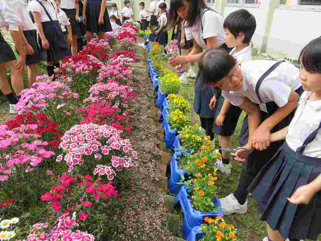 山口県周南市立菊川小学校