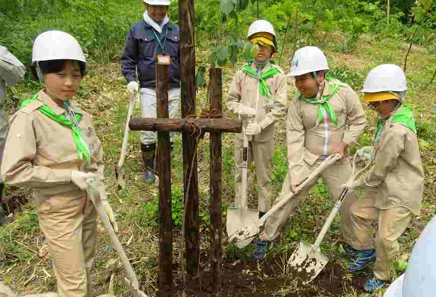 北海道虻田郡京極町「町有林げんきの森・育樹事業」