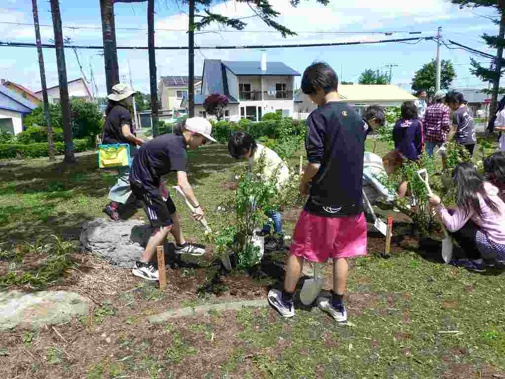 北海道帯広市立大空小学校