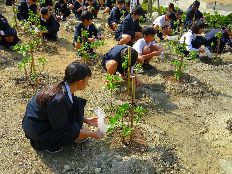 石川県白山市立朝日小学校