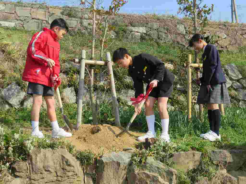 香川県さぬき市立さぬき南小学校