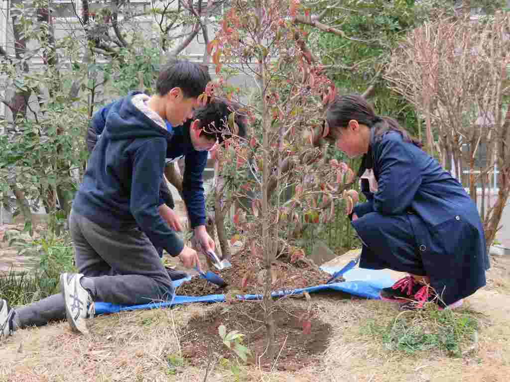 兵庫県神戸市立御影小学校