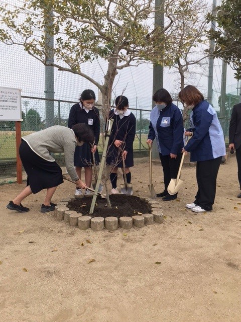 熊本県熊本市立出水南小学校