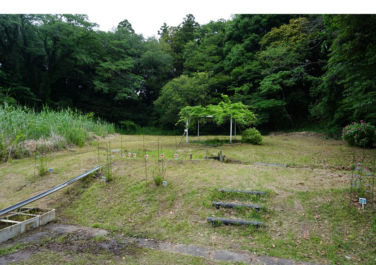 茨城県東海村立村松小学校