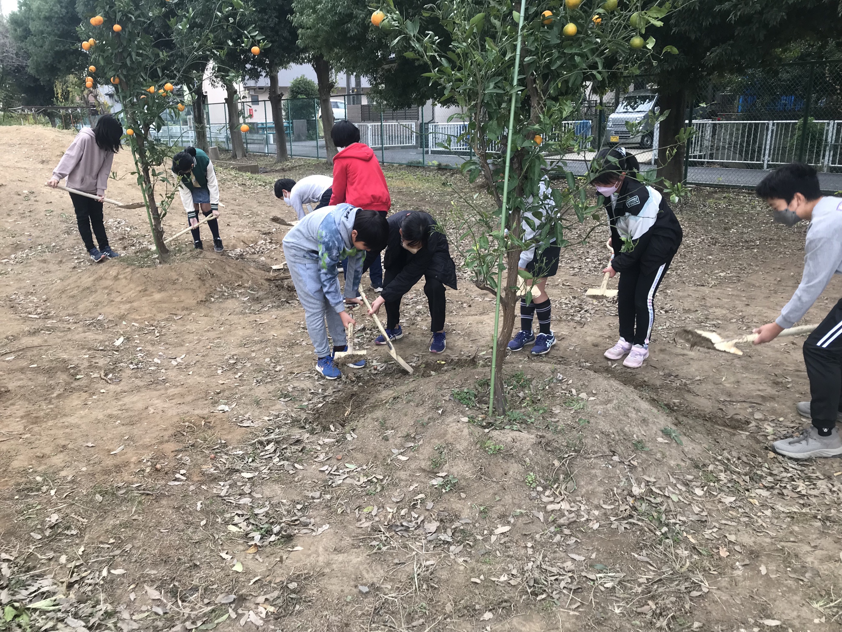 埼玉県久喜市立本町小学校