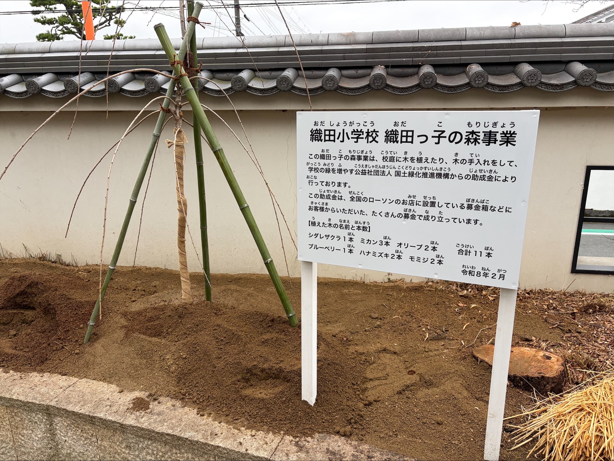 奈良県桜井市立織田小学校