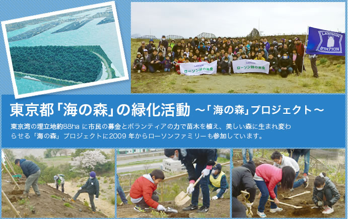 東京都「海の森」の緑化活動~「 海の森」プロジェクト ~