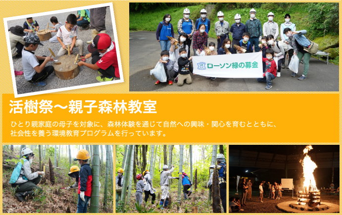 活樹祭~親子森林教室 ひとり親家庭の母子を対象に、森林体験を通じて自然への興味・関心を育むとともに、社会性を養う環境教育プログラムを行っています。