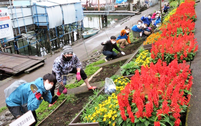 しながわ花海道（勝島運河）コスモスの種まき（2）