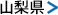 山梨県